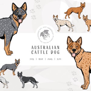 Heeler SVG, Standing Dog Design, Australian Cattle Dog Clip Art, Blue Heeler Illustration PNG, Red Heeler Vector Design, Printable Dog Art