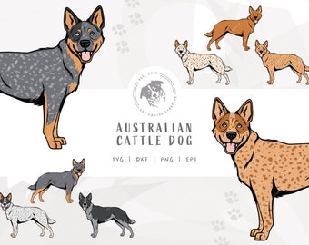 Heeler SVG, Standing Dog Design, Australian Cattle Dog Clip Art, Blue Heeler Illustration PNG, Red Heeler Vector Design, Printable Dog Art