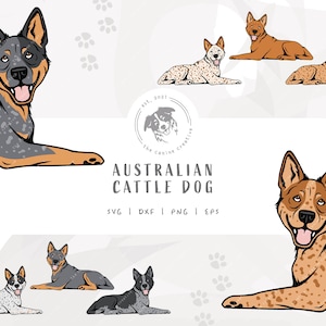 Heeler SVG, Dog Laying Down Design, Australian Cattle Dog Clipart, Blue Heeler Illustration PNG, Red Heeler Vector Design, Printable Dog Art