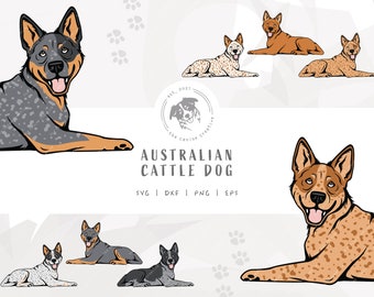 Heeler SVG, Dog Laying Down Design, Australian Cattle Dog Clipart, Blue Heeler Illustration PNG, Red Heeler Vector Design, Printable Dog Art