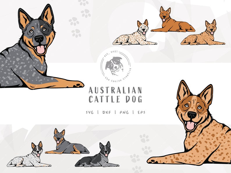 May include: A digital illustration of six Australian Cattle Dogs in various poses. The dogs are all in a lying down position. The dogs are all different colors, including blue merle, red, and red heeler. The image also includes the text "Australian Cattle Dog" and "SVG | DXF | PNG | EPS".