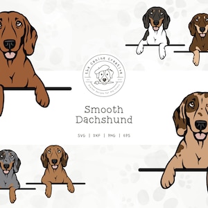 Smooth Dachshund SVG, Dachshunds Clipart, Peeking Dog SVG #2, Doxie Printable, Sausage Dog PNG, Wiener Dog Vector Art, Sublimation Design