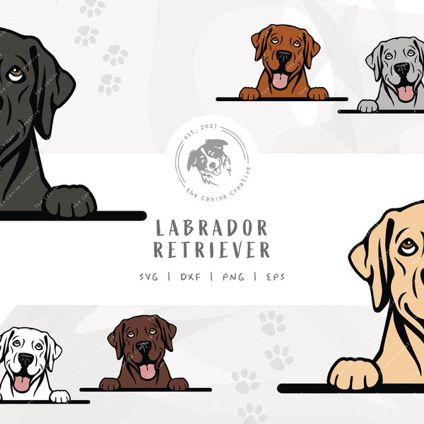 Labrador SVG, Peeking Dog SVG #1, Yellow Lab Dog Vector, Black Labrador Art, Silver Lab Design, Chocolate Lab png, Red Fox Labrador Clipart
