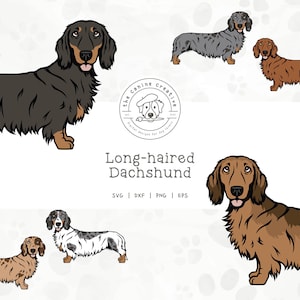 Long-haired Dachshund SVG, Standing Dog Design, Dachshunds Clipart, Doxie Printable, Sausage Dog PNG, Wiener Dog Art, Sublimation Design