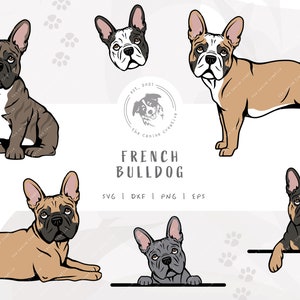 French Bull Dog SVG, French Bulldog SVG, Frenchie Dog Face PNG, Sitting Dog Art, Standing Dog Design, Peeking Dog png, Dog Laying Down dxf