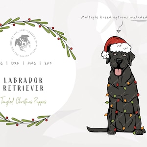 Labrador SVG Christmas, Lab Dog SVG, Tangled Christmas Lights SVG, Dog Santa Hat png, Christmas Present Clipart, Vector Dog Illustration