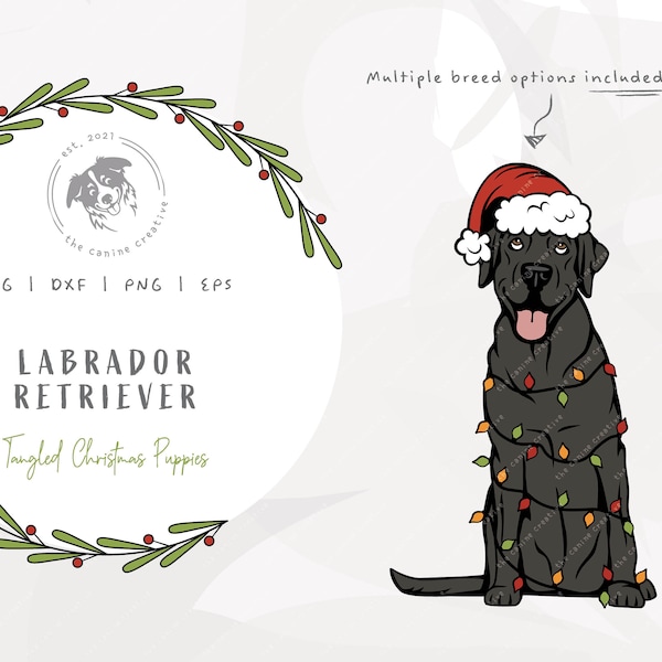 Labrador SVG Christmas, Lab Dog SVG, Tangled Christmas Lights SVG, Dog Santa Hat png, Christmas Present Clipart, Vector Dog Illustration