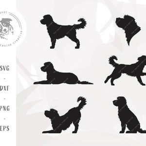 Doodle SVG, SVG de silhouette de race de chien, Bernedoodle Art, Sheepadoodle imprimable, Aussiedoodle png, clipart Goldendoodle, vecteur Labradoodle