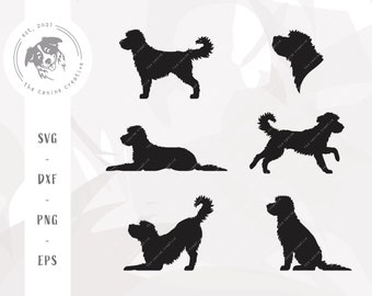 Doodle SVG, Dog Breed Silhouette SVG, Bernedoodle Art, Sheepadoodle Printable, Aussiedoodle png, Goldendoodle Clipart, Labradoodle Vector