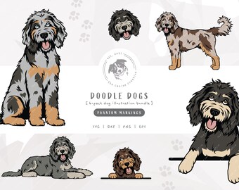 Phantom Doodle SVG Bundle, Doodle Dog Clipart, Bernedoodle SVG, Sheepadoodle Art, Aussiedoodle png, Goldendoodle Clipart, Labradoodle Vector