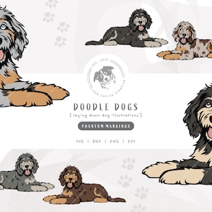 Phantom Doodle SVG, Laying Down Dog SVG, Bernedoodle SVG, Sheepadoodle Art, Aussiedoodle png, Goldendoodle Clipart, Labradoodle Illustration