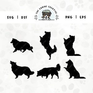 Ruwe Collie SVG | Shetland herdershond ras silhouetten | Sheltie Clipart PNG - Wandelen, poot schudden, springen, bedelen, blaffen, snuiven