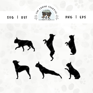 Boston Terriër SVG-ontwerpen | Kleine hondenras silhouetten | Puppy clipart PNG - wandelen, poot schudden, springen, bedelen, blaffen, strekken