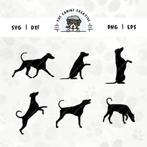 Doberman Silhouette SVG Bundle (Set 2), Natural Ears Undocked Tail, Walking Dog Design, Sniffing Dog Clipart, Jumping Begging Dog, Barking