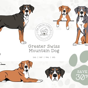 Greater Swiss Mountain Dogs SVG, Swissie Clipart, Dog Face SVG, Dog Sitting Art, Standing Dog Design, Peeking Dog png, Laying Down dog dxf