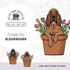 May include: A brown Bloodhound dog sitting in a flower pot with pink, yellow, and purple tulips. The dog is looking at the viewer with its tongue sticking out. The pot is brown and has the text "The Canine Creative" on it.