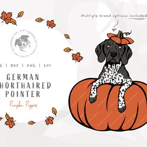 German Shorthaired Pointer SVG, GSP SVG, Pumpkin Dog png, Dog dog Halloween, Dog Thanksgiving Clipart, Fall Dog png, Pointer Illustration