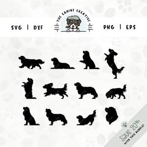 Cavalier King Charles-spaniël SVG-bundel | Portret zijprofiel hondenras silhouet clipart png | DIY-cadeau voor Cavalier Lover, mama en papa