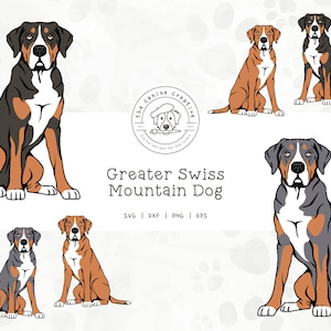 Greater Swiss Mountain Dogs SVG, Swissie Clipart, Sitting Dog PNG, Printable Dog Art, Dog Breed Illustration, Cricut Cut File, Layered SVG
