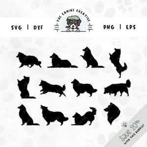 Rough Collie SVG Bundle / Ritratto del cane Profilo laterale Shetland Sheepdog Razza Silhouette Clipart PNG / Regalo fai da te per Sheltie Lover, Mama, Dad