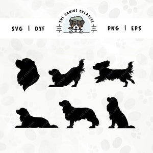 Cavalier King Charles Spaniel SVG, sagome di cani, clipart PNG Cavaliers, ritratto, seduto, in piedi, sdraiato, correre, giocare