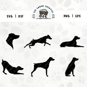 Doberman Silhouette SVG Bundle (Set 1), Natural Ears Docked Tail, Dobie Head Clipart, Dog Sitting Standing PNG, Dog Laying Down, Dog Running