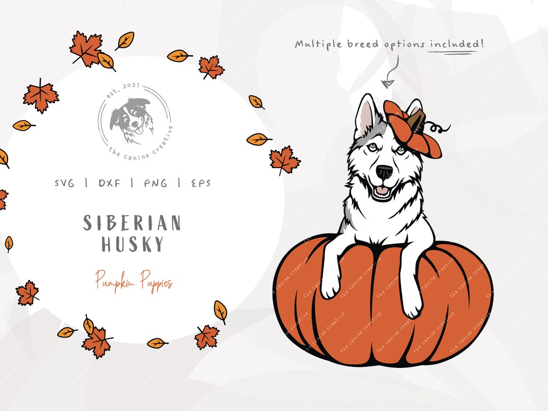 siberian-husky-svg-dog-pumpkin-svg-peeking-dog-illustration-etsy