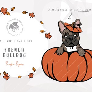 French Bull Dog SVG, Frenchie svg, Pumpkin Dog PNG, Dog SVG Halloween, Dog Thanksgiving Clipart, French Bulldog art, Vector Dog Illustration