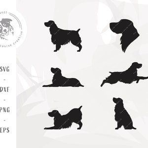 Docked Tail English Springer Spaniel SVG, Spaniel Clipart, Dog Breed Silhouette PNG, Hunting Dog SVG, Dog Printable Art, Cricut Cut File