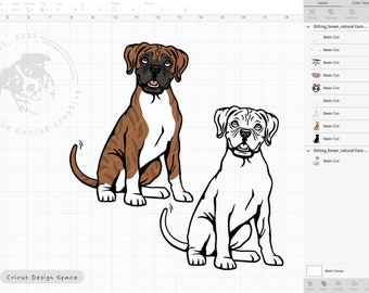 Boxer Dog Art - Watch Leah's Drawing Online - ItsaBoxerDogsLife