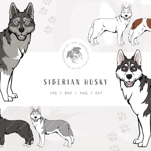 Siberian Husky SVG, Standing Dog SVG, Husky SVG Layered, Printable Dog Clipart, Vector Dog Illustration, Cartoon Dog Design, Cricut Cut File