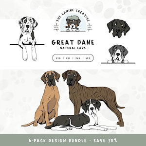 Great Dane SVG Natural Floppy Ears, Hand Drawn Dogs PNG, Peeking Dogs, Cartoon Dog Face, Standing Dog, Sitting Dog, Laying Down Dog, Clipart