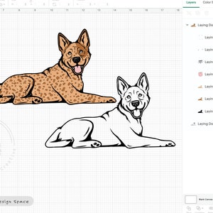 Heeler SVG, Dog Laying Down Design, Australian Cattle Dog Clipart, Blue Heeler Illustration PNG, Red Heeler Vector Design, Printable Dog Art image 6