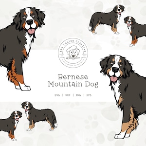 Bernese Mountain Dog SVG, Berner PNG, Standing Dog Design, Pet Portrait Art, Printable Dog Clipart, Dog Illustration, Cricut Cut File
