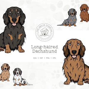 Long-Haired Dachshund SVG, Dachshunds Clipart, Sitting Dog Design, Doxie Printable, Sausage Dog PNG, Wiener Dog Art, Sublimation Design
