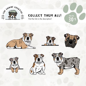 Get our related 6-pack English Bulldog design bundle and save 30%! Link included in the description.