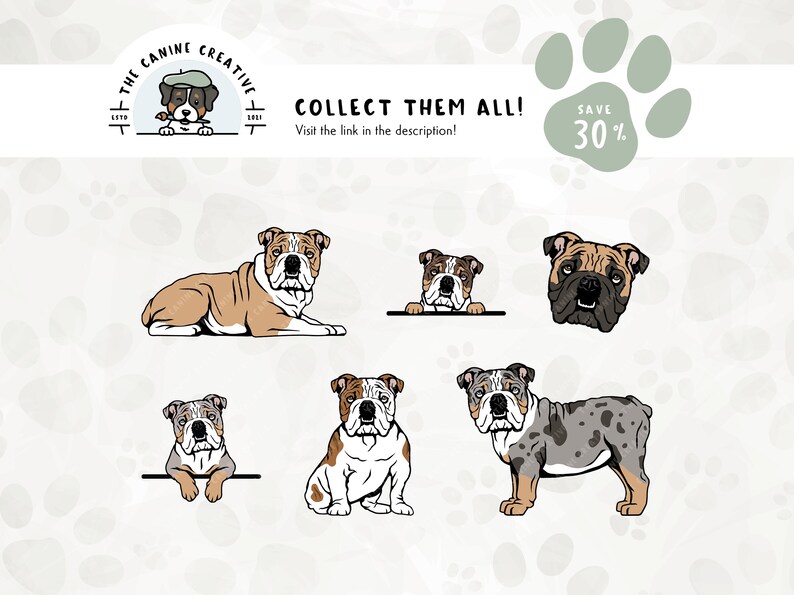 Get our related 6-pack English Bulldog design bundle and save 30%! Link included in the description.