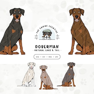 May include: Four illustrations of Doberman Pinschers in different colour variations. The dogs are sitting with their ears and tails in a natural position. The text "Doberman - Natural Ears & Tail - SVG | DXF | PNG | EPS" is below the images.