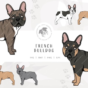 French Bull Dog SVG, French Bulldog SVG, Frenchie PNG, Standing Dog Design, Printable Dog Art, Frenchie Clipart, Cartoon Dog Illustration