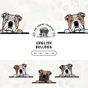 English Bulldog SVG, Bulldog Clipart PNG, Peeking Dog #1 Illustration, British Bulldog Vector, Printable Art, Sublimation Design, Cut File