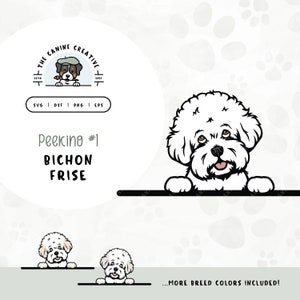 Peeking #1 Bichon Frisé SVG | Tenerife Dog Clipart PNG | Cute Puppy Design | Printable Pet Illustration | DIY Gift for Dog Lover, Mama, Dad