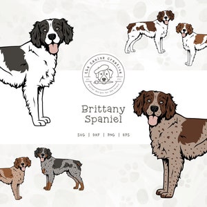 Brittany Dog SVG, Brittany Spaniel Clipart, Standing Dog PNG, Hunting Dog Vector, Printable Dog Art, Dog Illustration, Cricut Cut File