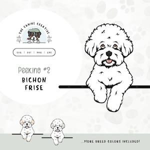 Peeking #2 Bichon Frisé SVG | Tenerife Dog Clipart PNG | Cute Puppy Design | Printable Pet Illustration | DIY Gift for Dog Lover, Mama, Dad