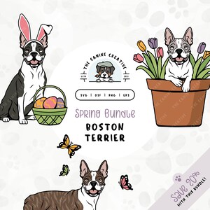 Spring SVG Bundle | Easter Dog PNG | Boston Terrier Clipart | Cute Puppy in Flower Pot Design | Butterfly Wall Art Printable