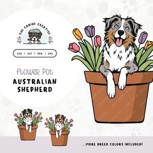 May include: A blue merle Australian Shepherd dog sitting in a brown flower pot with pink, yellow, and purple tulips. The dog is looking at the viewer with its tongue sticking out. The text "THE CANINE CREATIVE" is on the pot.