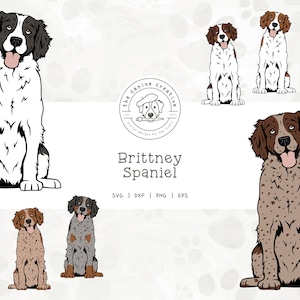 Brittany Dog SVG, Brittany Spaniel Clipart, Sitting Dog PNG, Hunting Dog Vector, Printable Dog Art, Dog Illustration, Cricut Cut File Design