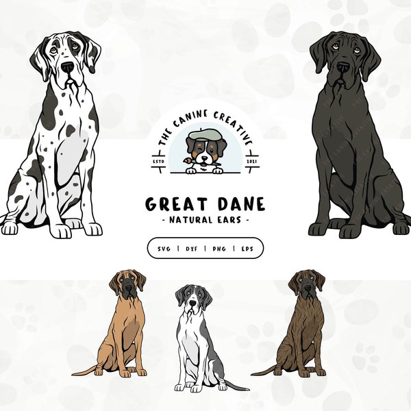 Great Dane SVG Natural Floppy Ears, Sitting Dog Clipart, Hand Drawn Dogs PNG, Dog Printable Art, Sublimation Design, Cricut Cut File