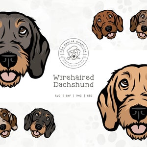 Wirehaired Dachshund SVG, Dachshunds Clipart, Dog Face Illustration, Doxie Printable, Sausage Dog PNG, Wiener Dog Art, Sublimation Design