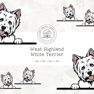 Westhighland Terrier SVG, Westie PNG, West Highland White Terrier Clipart, Peeking Dog #1 Illustration, Dog Printable, Sublimation Design