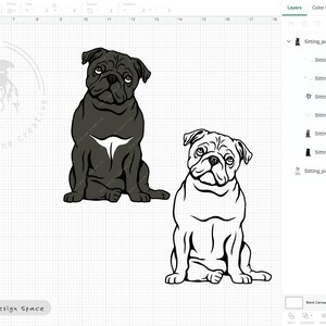 Pug SVG, Dog Sitting Design, Brindle Pug Clip Art, Fawn Pug ...